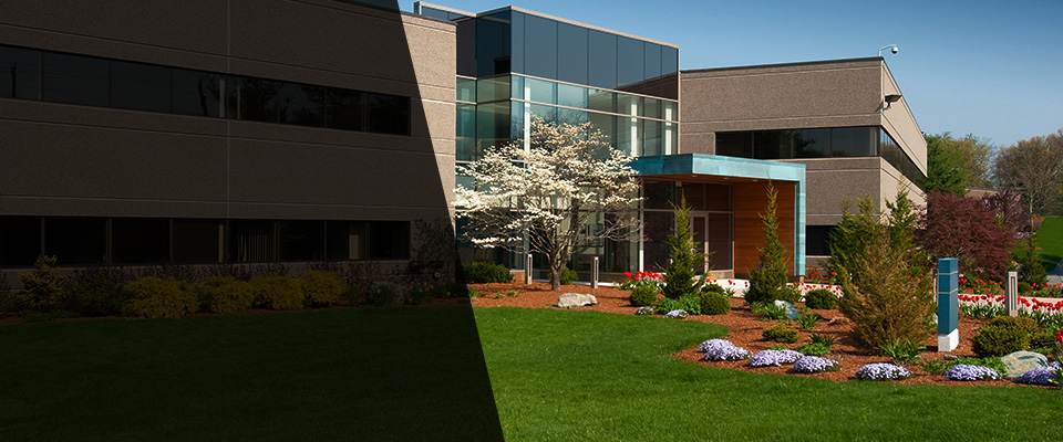 Seagoville Landscapers