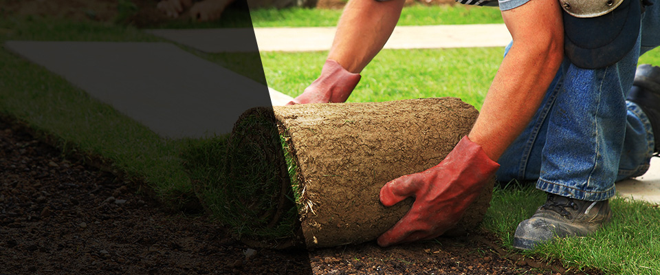 Seagoville Landscapers